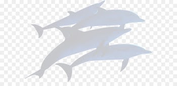 Dolphin - Gray whale dolphin silhouettes 