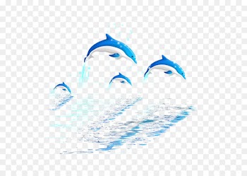 Dolphin Jumping Illustration - Jumping dolphins 