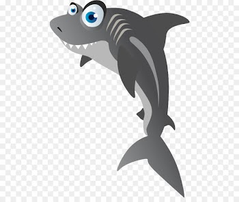 Dolphin Marine mammal Cetacea Porpoise - BABY SHARK 
