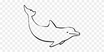 Dolphin Ocean Mammal Nature Marine Animal - Drawing Of A Dolphin