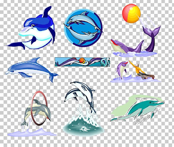 Dolphin Photography PNG, Clipart, Adobe Illustrator, Animals ...