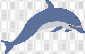 Dolphin PNG Photo