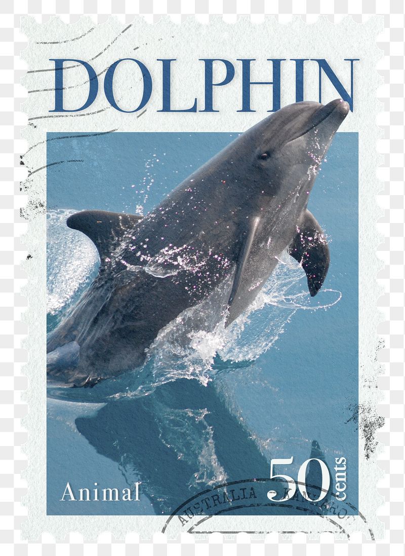 Dolphin png post stamp sticker, | Free PNG - rawpixel