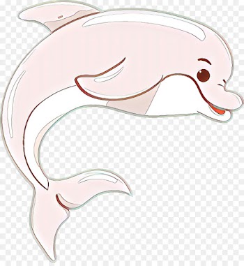 Dolphin, Porpoise, Ear, Bottlenose Dolphin PNG