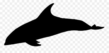 Dolphin Porpoise Whales Clip art Fauna -  