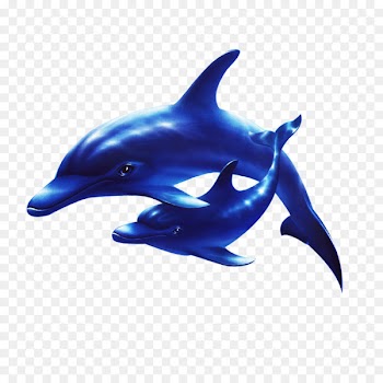Dolphin Sea Clip art - Submarine Dolphins 