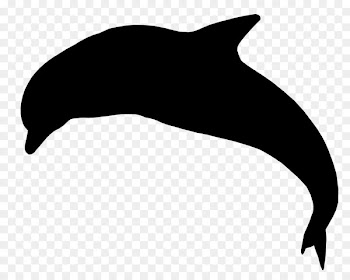 Dolphin Sea lion Porpoise Whales Clip art -  