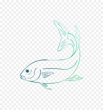 Dolphin Sketch Porpoise Line art Car -  