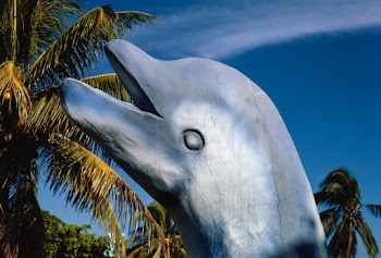 Dolphin statue, Magic Carpet Golf, Key West,… | Free public domain photo