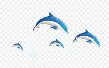 Dolphin Wallpaper - Dolphins Vector 