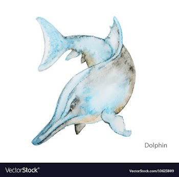Dolphin water color vector image