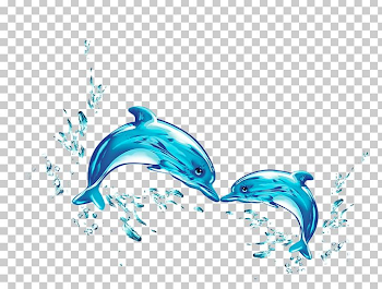 Dolphin Water PNG, Clipart, Animals, Aqua, Aquatic Animal, Azure ...