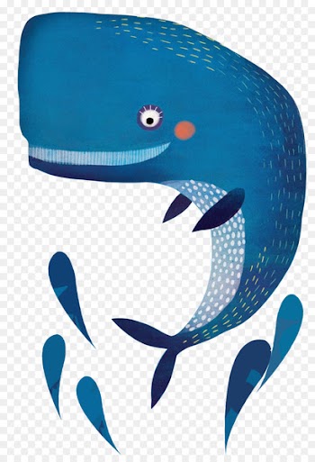 Dolphin Whale Kaleidoscope Information - whale 