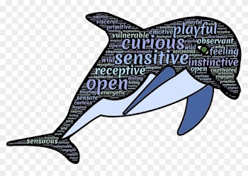 Dolphines Clipart Dolphin Word - Dolphin Typography