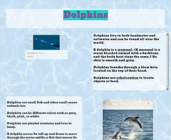 Dolphins | PBS LearningMedia