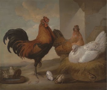 Domestic Cock, Hens, and Chicks | Free Photo - rawpixel