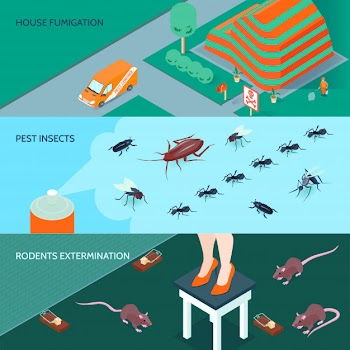 Domestic disinfection horizontal banners set with methods of insects and rodents extermination 3d isometric isolated vector illustration Free Vector