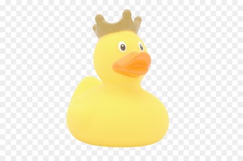 Domestic duck Rubber duck Limassol Duck Store Toy - duck 