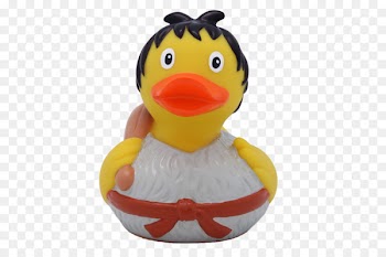 Domestic duck Rubber duck Product Amsterdam Duck Store - duck 