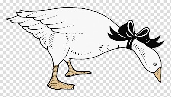 Domestic goose Cygnini Duck White, Creative hand-painted big white goose transparent background PNG clipart
