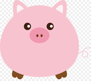 Domestic pig Clip art - Pig vector 