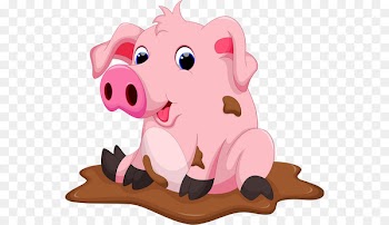 Domestic pig Drawing Chocolate Clip art - pig 