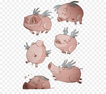 Domestic pig Drawing Illustration - Flying Pig 