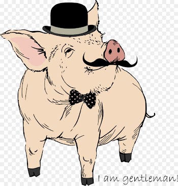 Domestic pig Drawing Royalty-free Printmaking - Vector Pig 