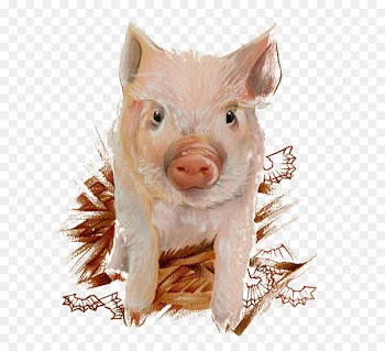 Domestic pig Illustration - Painted Pig pattern 