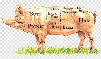 Domestic pig Primal cut Cut of pork Meat Bacon, sliced pork transparent background PNG clipart