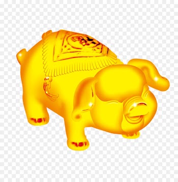 Domestic pig Resource - Golden Pig 