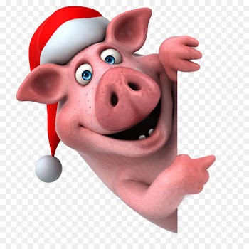 Domestic pig Santa Claus Christmas Stock photography Illustration - Cartoon with Christmas hat 