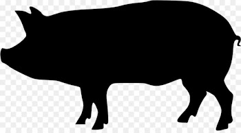 Domestic pig Silhouette Clip art - pig 