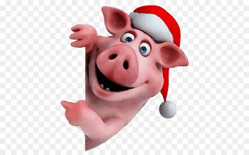 domestic pig suidae cartoon snout animation