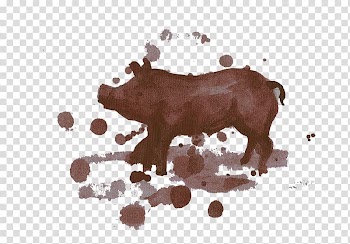 Domestic pig , Watercolor piglet transparent background PNG clipart