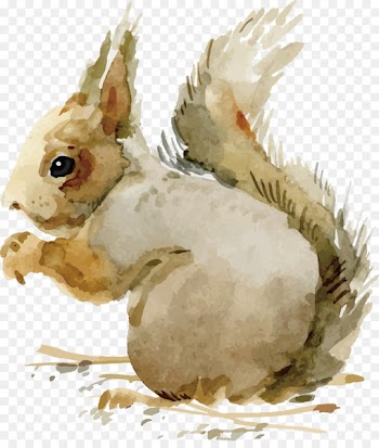 Domestic rabbit Adobe Illustrator - Watercolor Bunny 