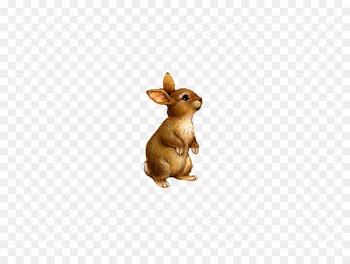 Domestic rabbit Clip art - Cute little stuffed bunny 