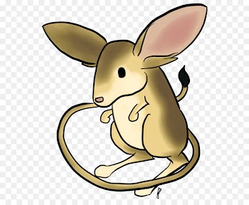 Domestic rabbit Clip art Jerboa Mammal European hare - cat 