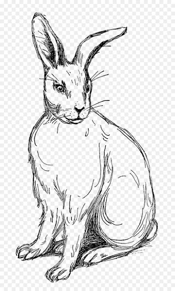 Domestic rabbit Easter Bunny Drawing - oswald the lucky rabbit 