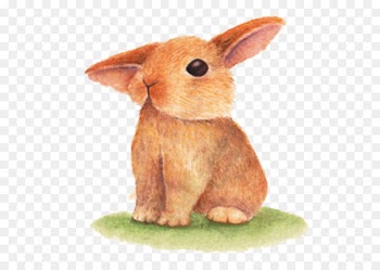Domestic rabbit Easter Bunny - Hand painted rabbit 