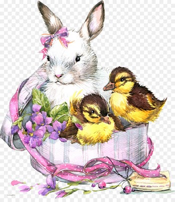 Domestic rabbit Easter Bunny Hare Bird - Bird 