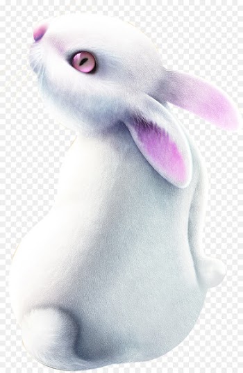 Domestic rabbit Easter Bunny Hare - Painted white bunny posters 