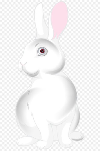 Domestic rabbit Easter Bunny Hare White - White Bunny Cartoon PNG Clip Art Image 