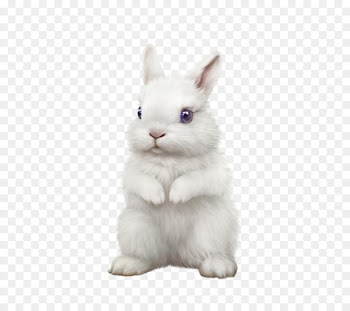 Domestic rabbit Hare Christmas Clip art - rabbit 