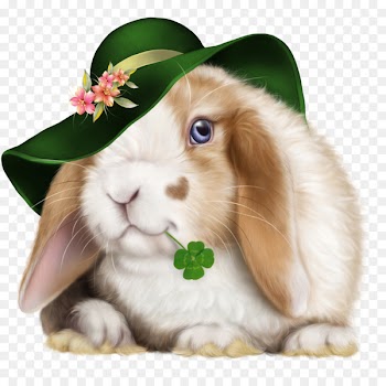 Domestic rabbit Hare Easter Bunny Angora rabbit - rabbit 