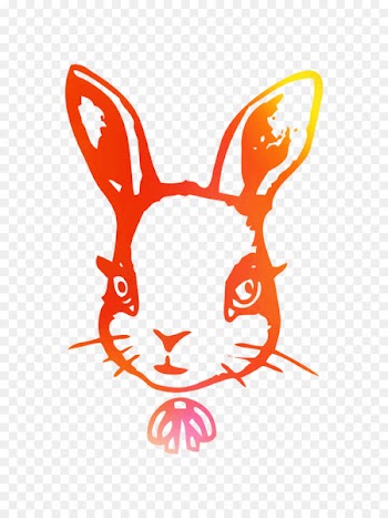Domestic rabbit Hare Easter Bunny Clip art Illustration -  