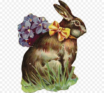 Domestic rabbit Hare Easter Bunny - hand painted vintage lace 