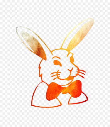 Domestic rabbit Hare Easter Bunny Illustration -  