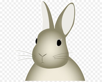 Domestic Rabbit, Hare, Easter Bunny, Rabbit PNG