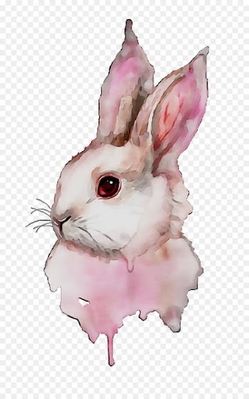 Domestic Rabbit, Hare, Easter Bunny, Rabbit PNG